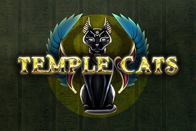 Templecats Пинап Казино играть